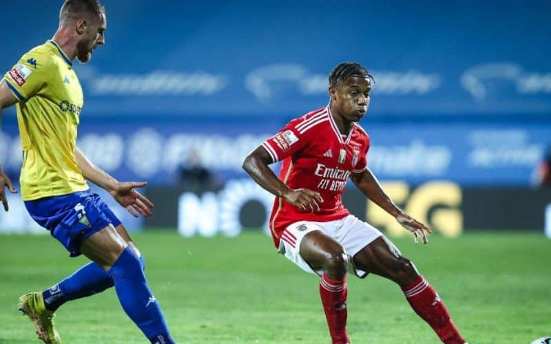 Benfica: Lợi thế sân nhà, cơ hội bứt phá