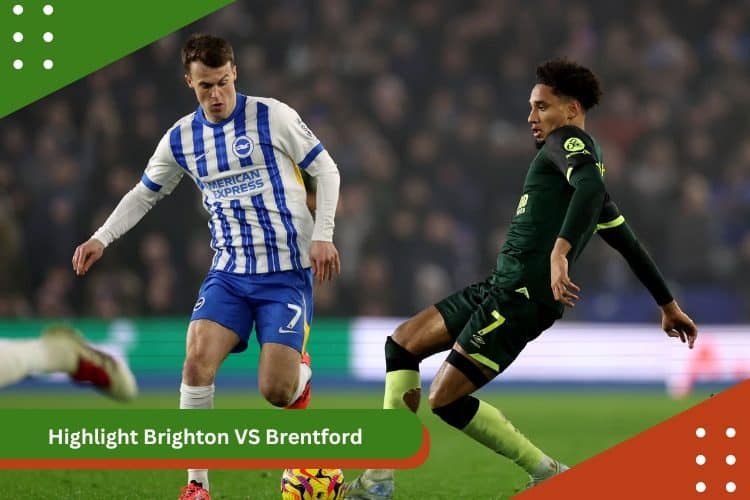 Highlight Brighton VS Brentford