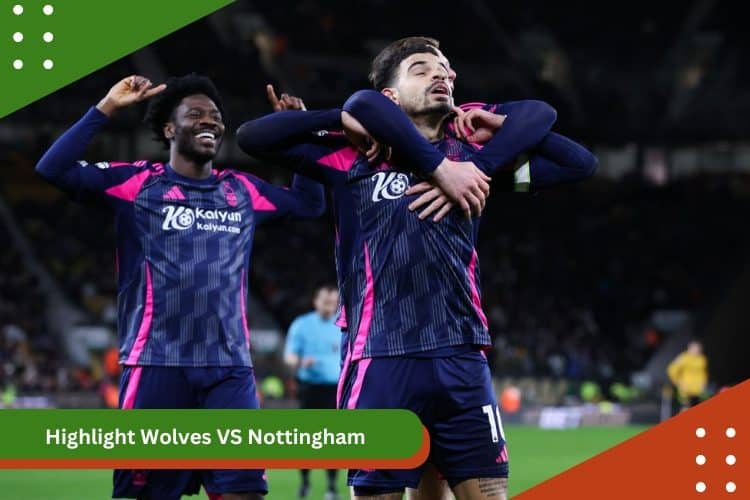 Highlight Wolves VS Nottingham